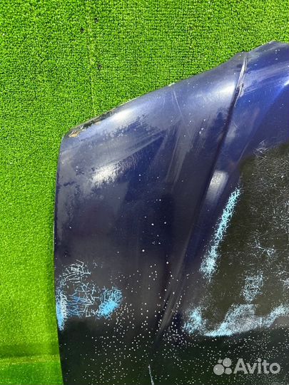 Капот Nissan Avenir