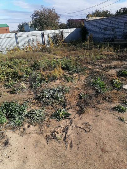 Участок 6 сот. (ИЖС)