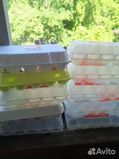 Ячейки для яиц