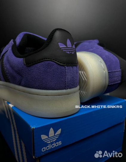 Adidas Campus Violet
