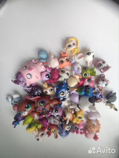 Littlest pet shop