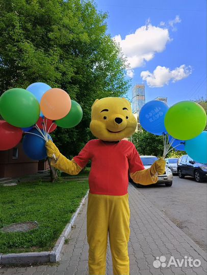 Промоутер, ростовые куклы, сбор контактов