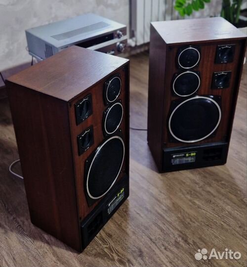 Акустические колонки Radiotehnika s90