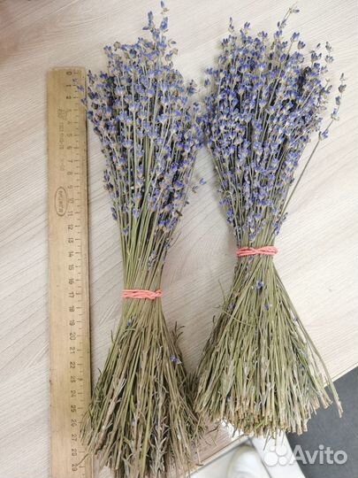 Лаванда букет