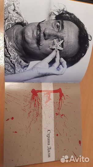 Сальвадор Дали - жизнь и творчество