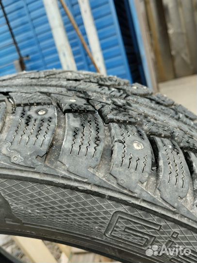 Gislaved Nord Frost V 205/55 R16