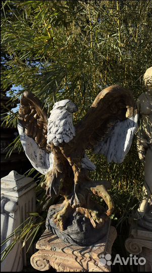 Орел на ветке