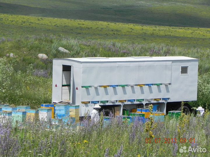 Мед горный из Казахстана, разнотравье