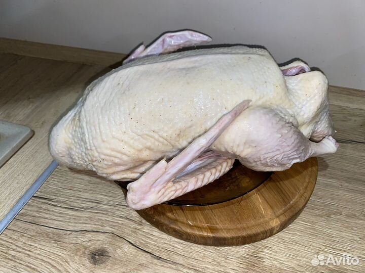 Куры и утки