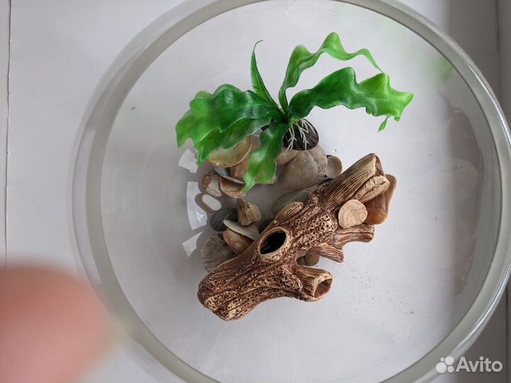 Аквариум с фигурками