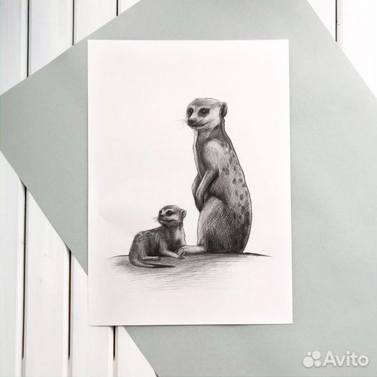 Картина графическая зарисовка сурикаты