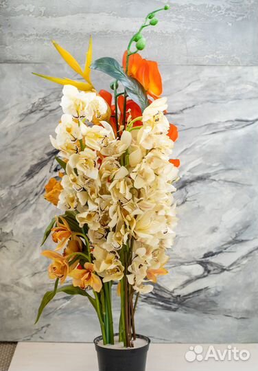 Многолетние цветы для интерьера