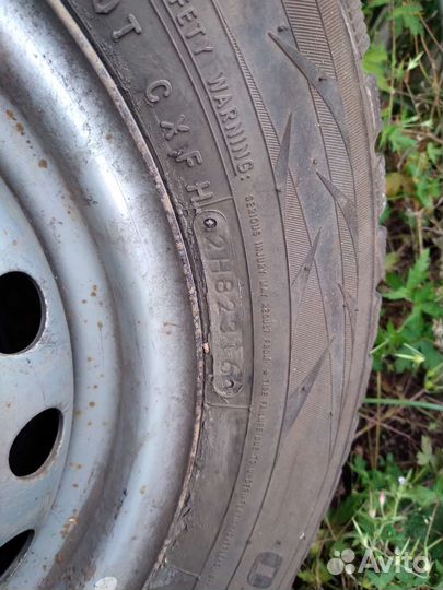 Резина r 13 летние зимняя тоя на toyota штампах