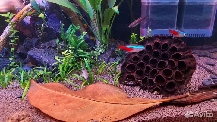 Пропант, Лава, Шунгит, Органика