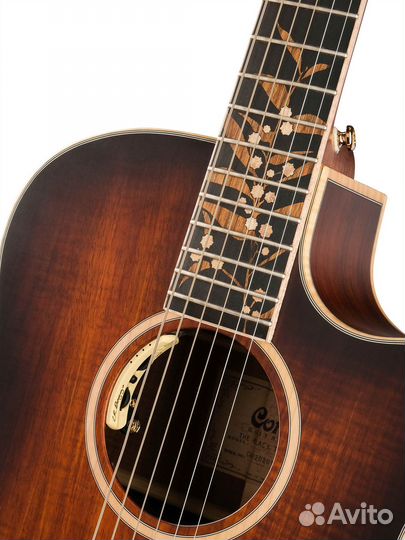 Cort TheBlackTree-LE-wcase-LBS Limited Edition Эле