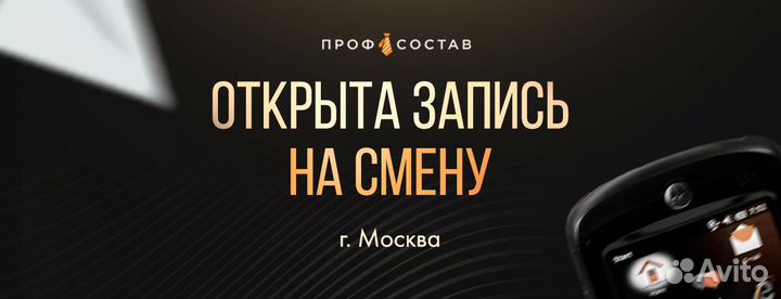 Счетчик ревизор