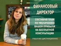 Финансовый директор. Управленческий учет / аудит