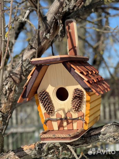 Сквореничк, кормушка, бельчатник