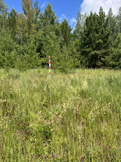 Участок 10 сот. (ИЖС)