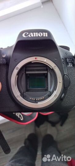 Canon 7D
