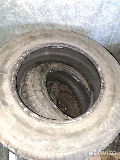 Tigar Sigura Stud 185/70 R14