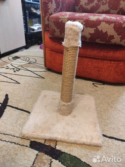 Когтеточка