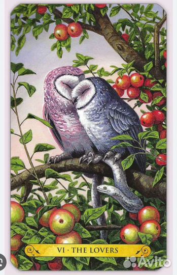 Tarot of the owls / таро сов