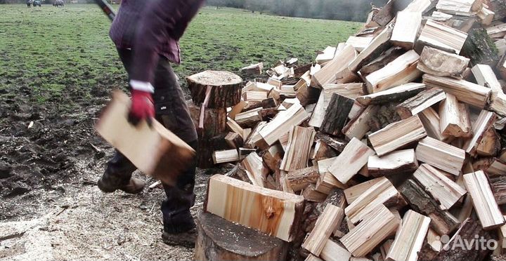 Дрова с Приозерска