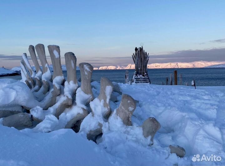 Поездка в Териберку на поиски Китов