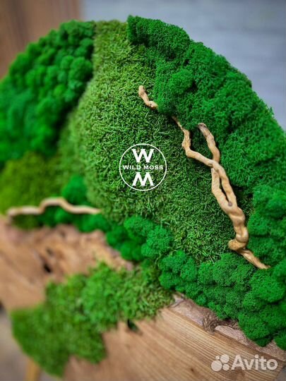 Панно из стабилизированного мха и спила дерева