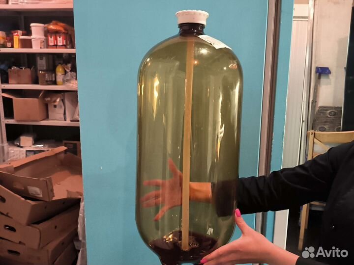 Кеги пивные пластиковые бу