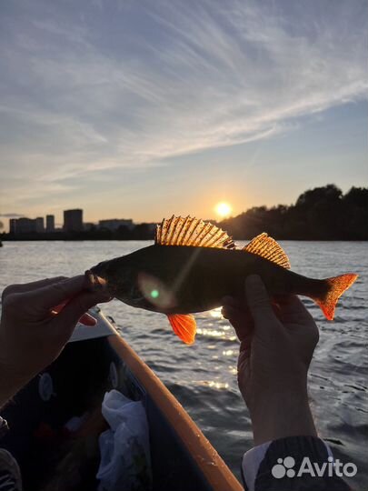 Рыбалка с гидом в Строгино