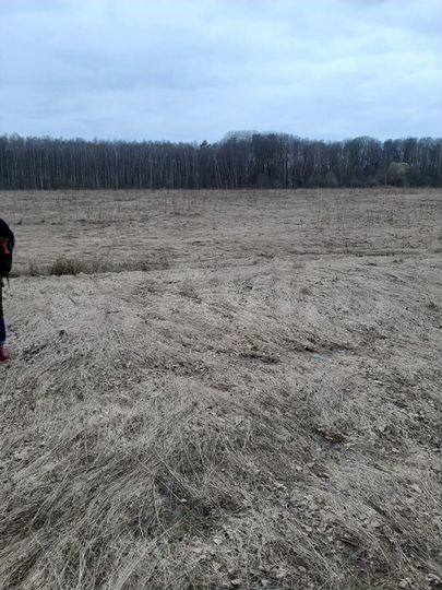 Участок 4,4 га (СНТ, ДНП)