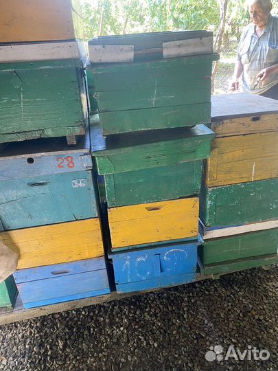 Улей для пчел бу