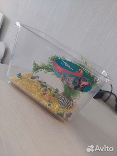 Аквариум маленький