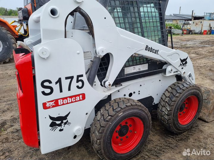 Bobcat S175