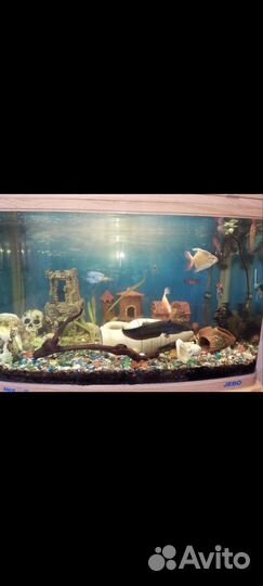 Продаю аквариум джебо 375