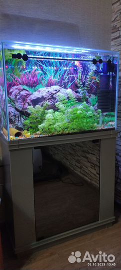 Аквариум