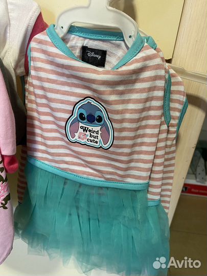 Одежда для собак