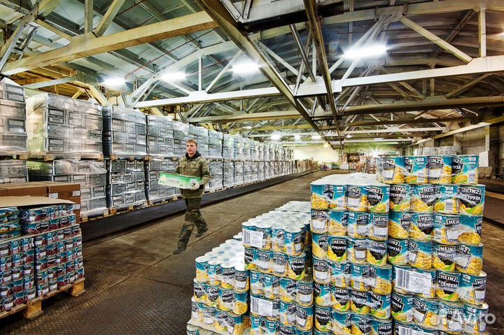 Разнорабочие / ежедневные выплаты