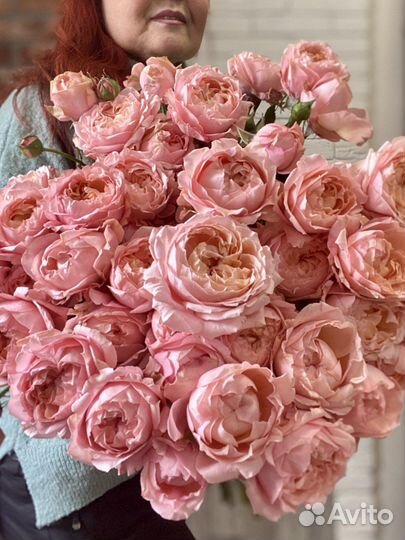 Кустовые розы пионовидные Джульетта