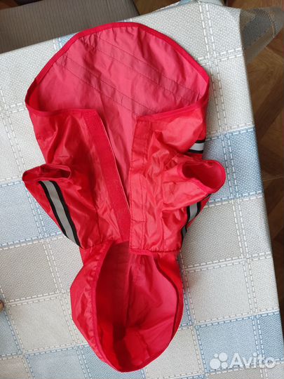 Одежда для собак мелких пород