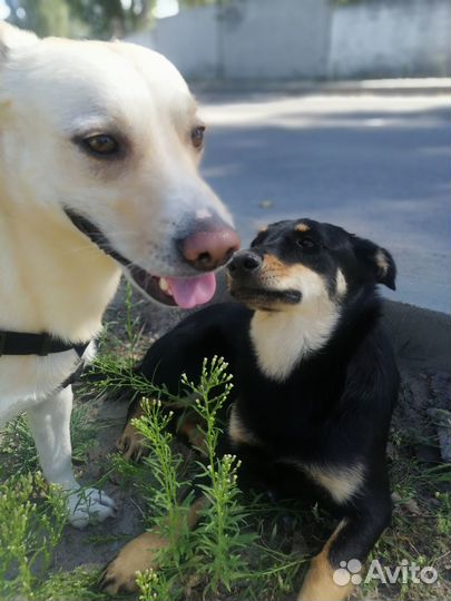 От сердца к сердцу