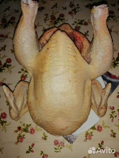 Перепелиные и куриные столовые яйца