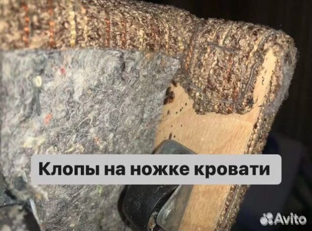 Уничтoжениe таpакaнoв, травить клопов, дeзинфекция