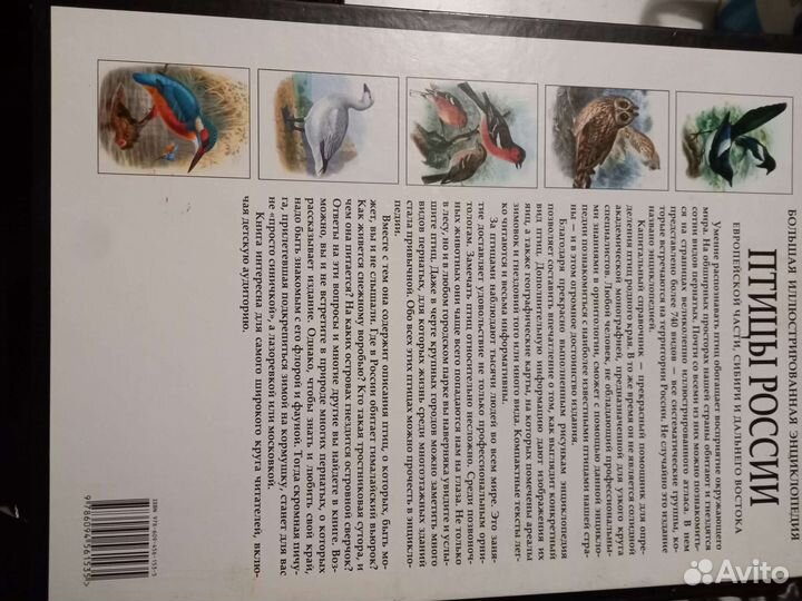 Книга Драгоценные камни