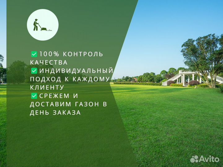 Рулонный газон, укладка, продажа