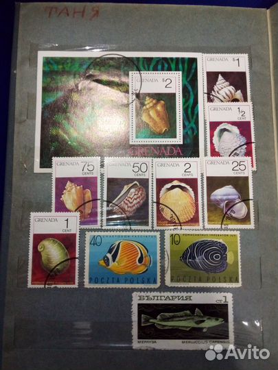 Почтовые марки СССР много продать