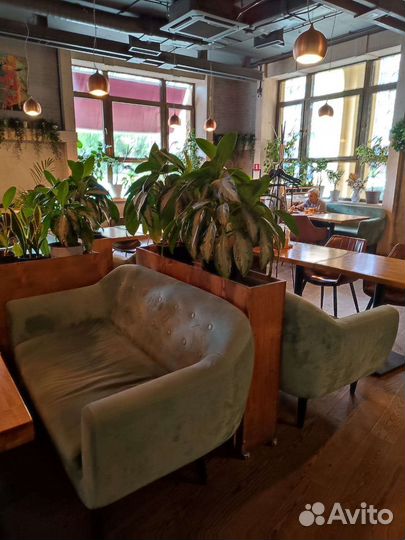 Генеральная уборка