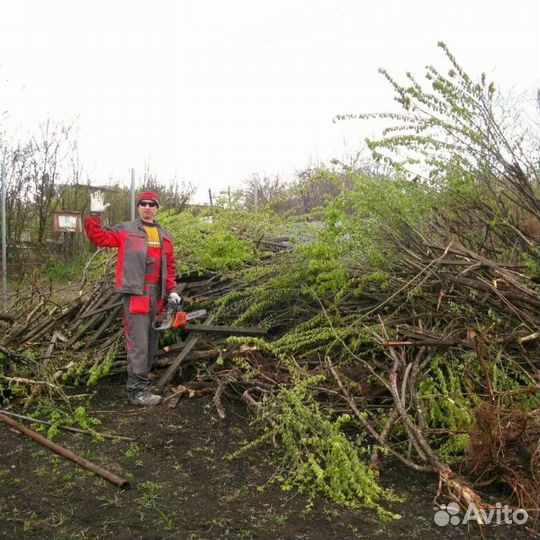 Расчистка, благоустройство, очистка участка